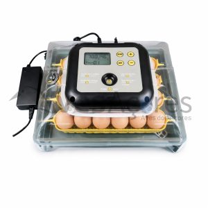 Incubadora IN24 automática