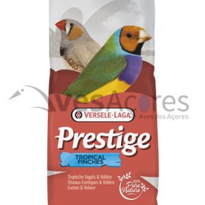Exótico 20kg Versa laga